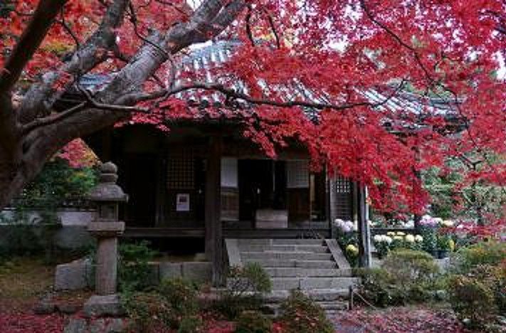 大門寺の画像です