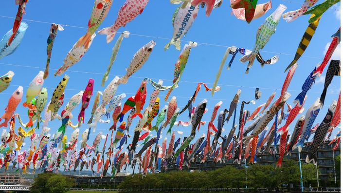 芥川桜堤公園のこいのぼり画像です。