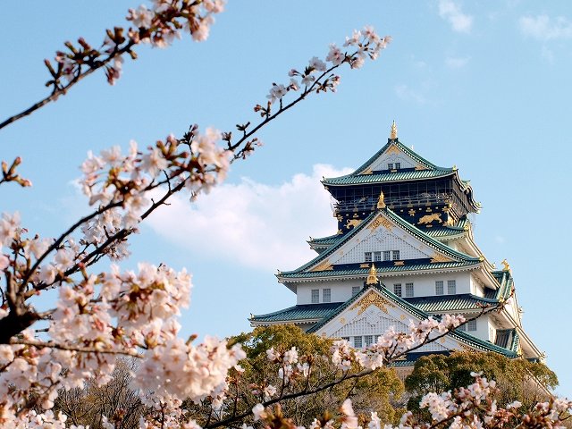 大阪城と桜の写真