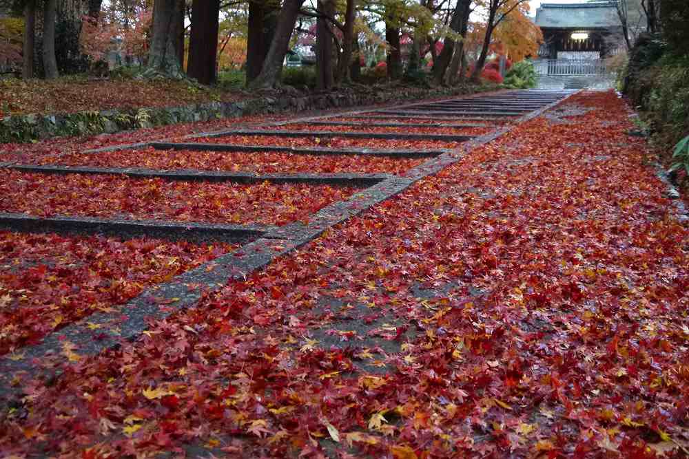 毘沙門堂門跡（びしゃもんどうもんぜき）の画像です