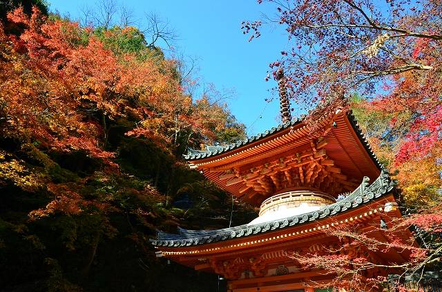 大威徳寺の画像です