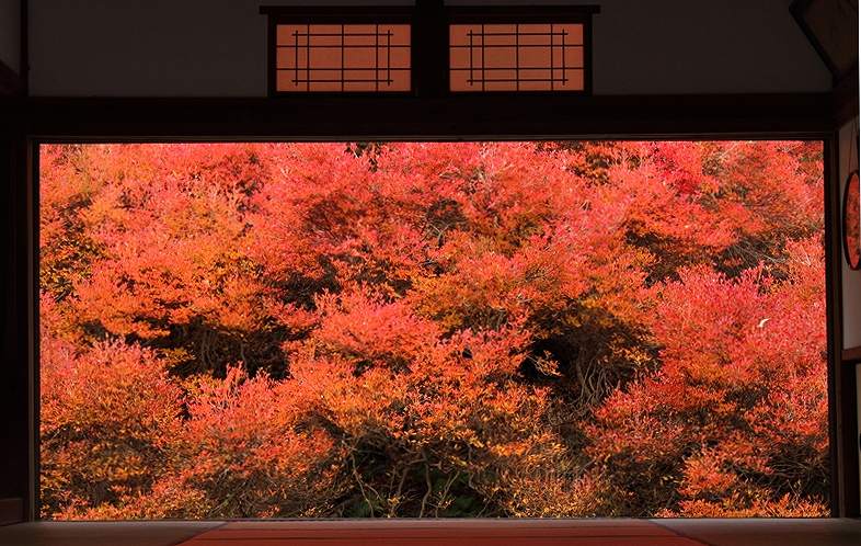 但馬安国禅寺（たじまあんこくぜんじ）の画像です