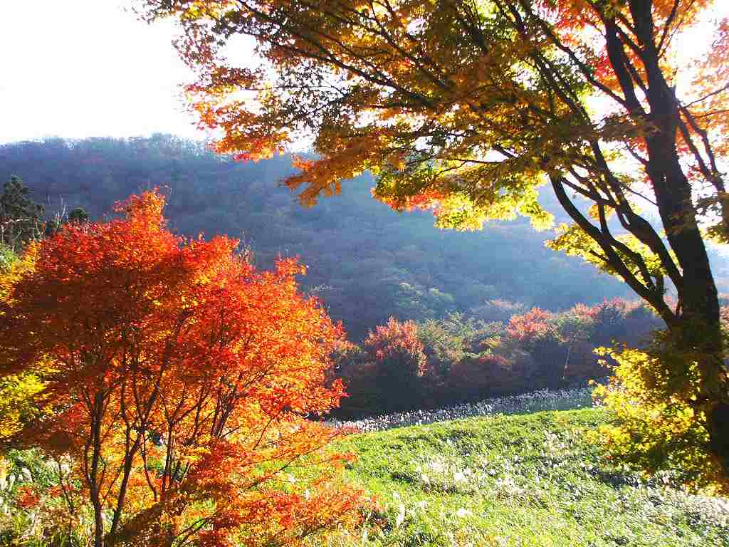 英彦山の画像です