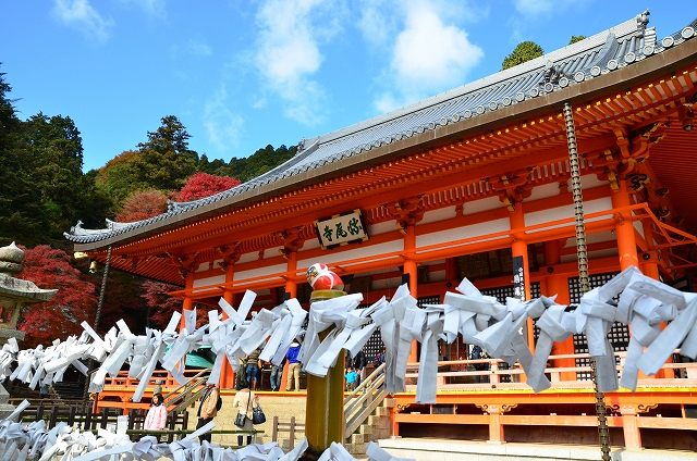 勝尾寺（かつおうじ）の画像です