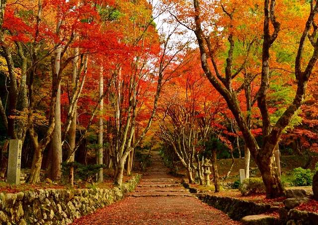 鶏足寺（けいそくじ）の画像です