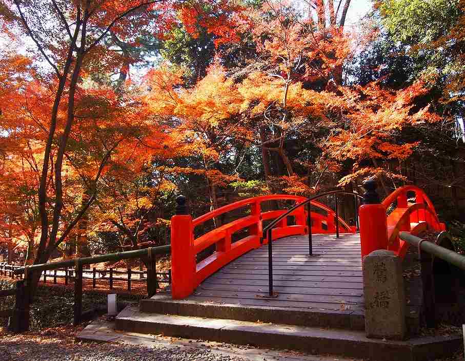 北野天満宮 史跡御土居もみじ苑の画像です