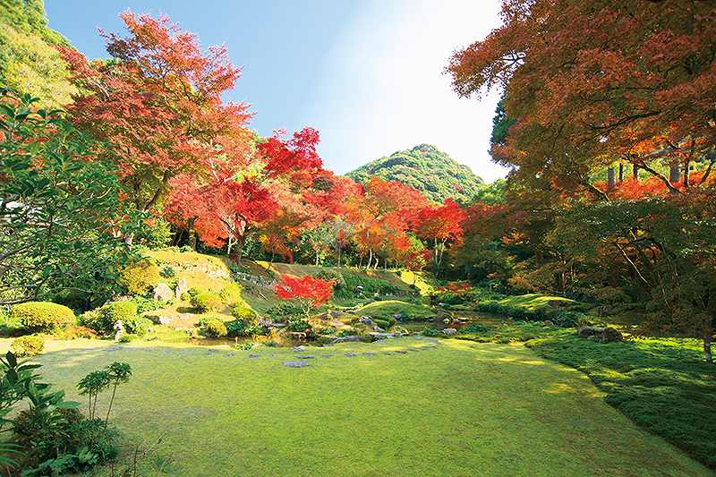 清水寺本坊庭園の画像です