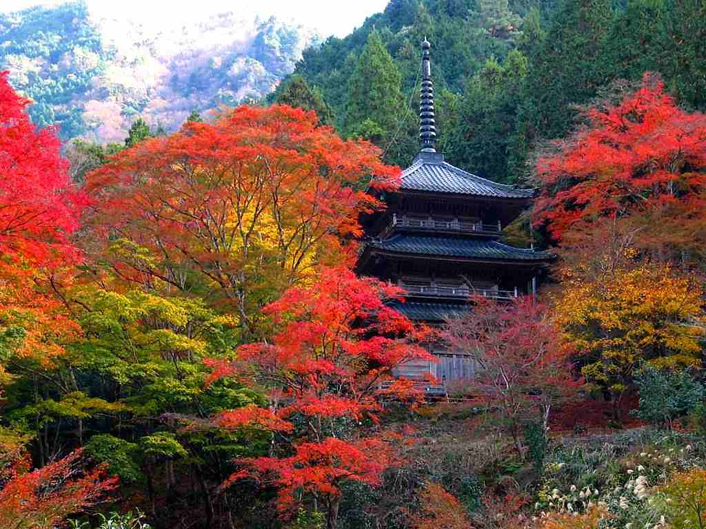 高源寺（こうげんじ）の画像です