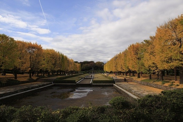 国営昭和記念公園の画像です