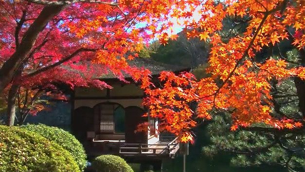 名勝 西の丸庭園(紅葉渓庭園)（もみじだにていえん）の画像です