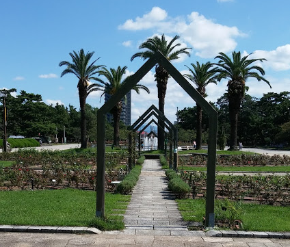 浜寺公園の画像です