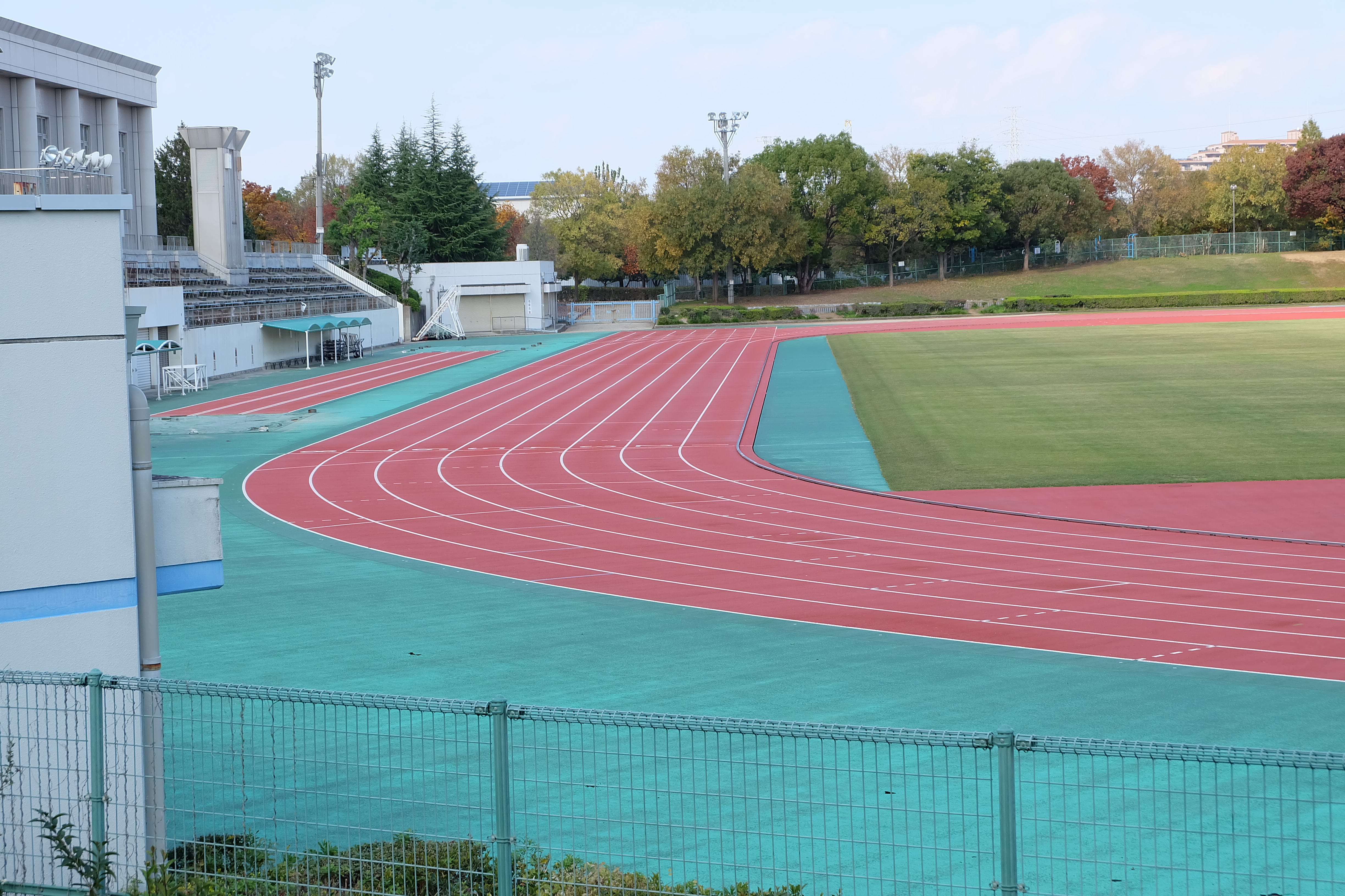 小さい子供にオススメの堺市の公園 金岡公園の遊具とひろば イエモア