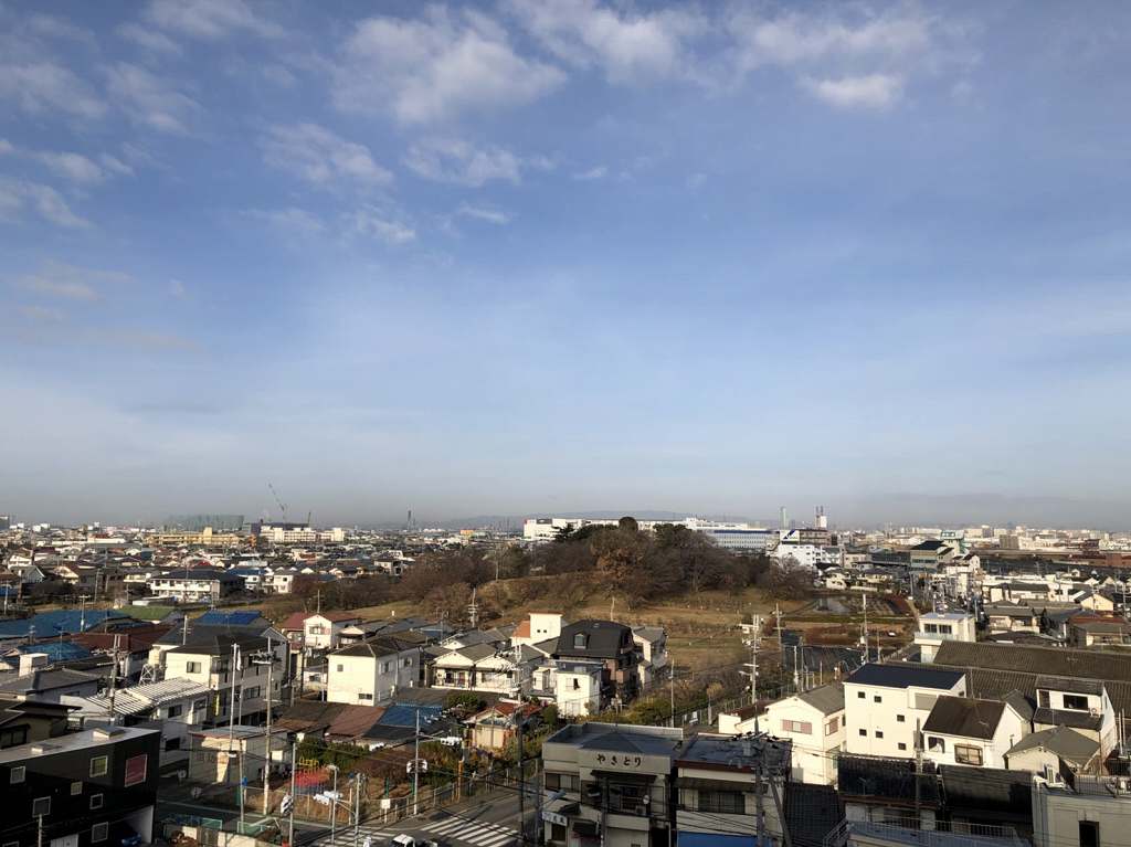 津堂城山古墳の画像です