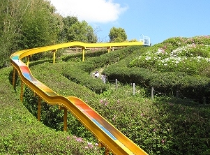 大宰府梅林アスレチックスポーツ公園の画像です