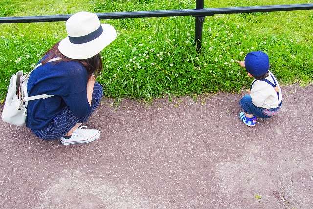 藤井寺市の子育て環境イメージ図です。