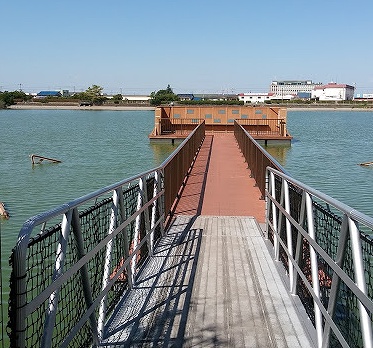 舟渡池公園の画像です