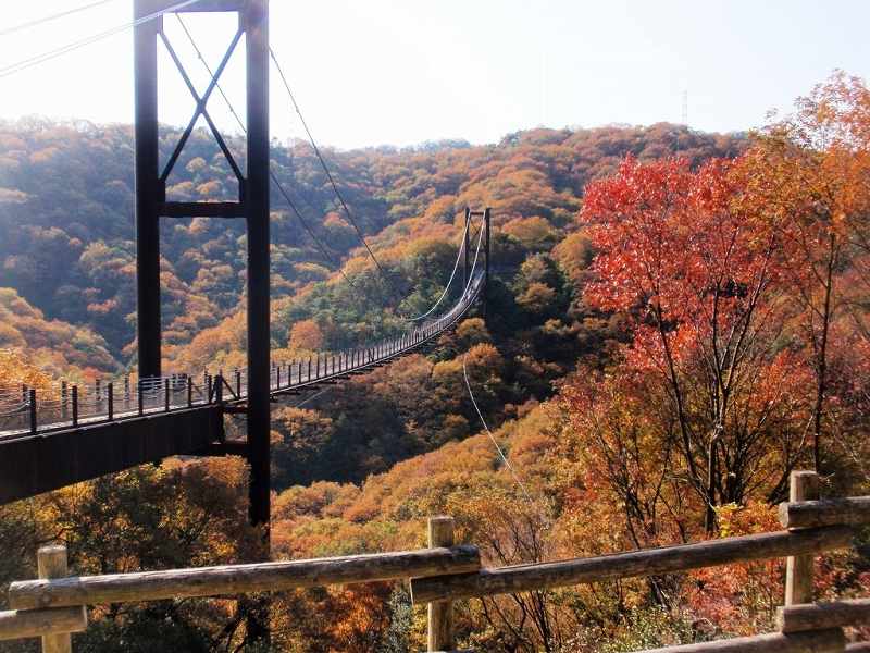 ほしだ園地・星のブランコ（大阪）の画像です。