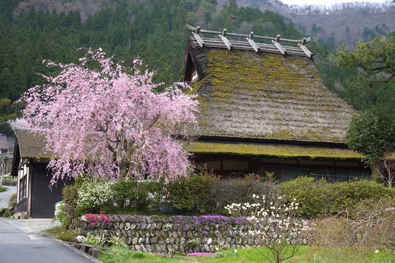 かやぶきの里【京都府】の画像です。