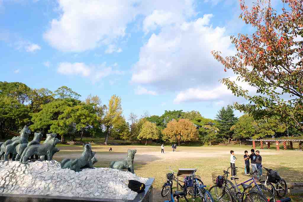 大浜公園の画像です