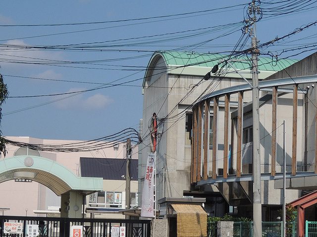 藤井寺小学校の画像です