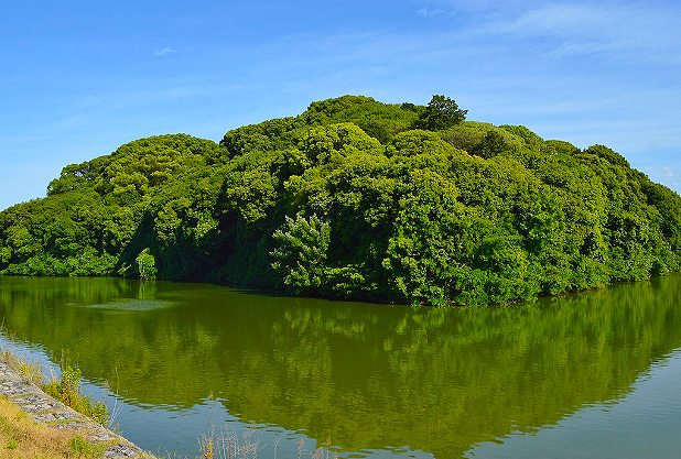 「日本武尊白鳥陵古墳」の画像です