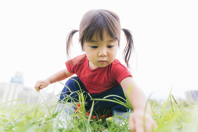 子供の画像です。