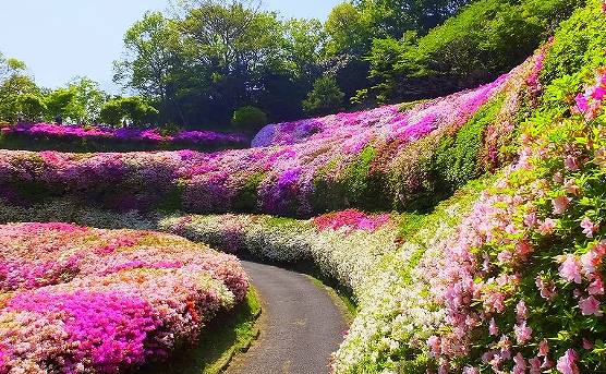 なるかわ園地の画像です