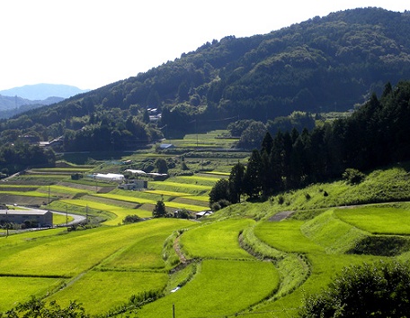 能勢町の画像です