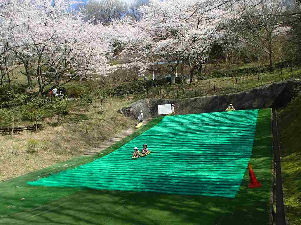 『玉手山公園ふれあいパーク』の画像です