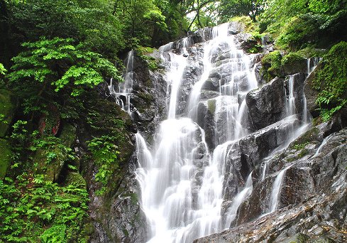 『白糸の滝』の画像です