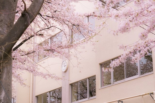 女子中学校のイメージ画像です