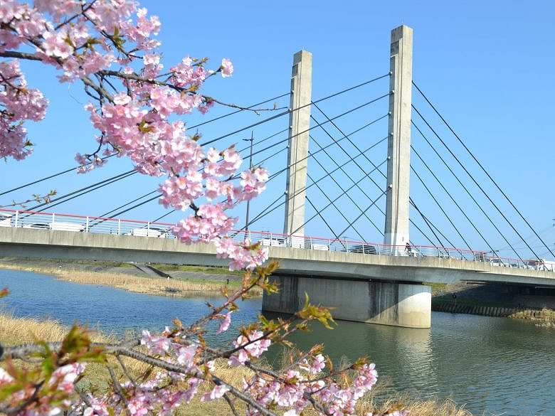 行橋市　今川河川敷の画像です