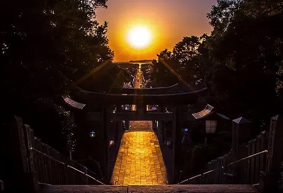 宮地嶽神社　光の道の画像です