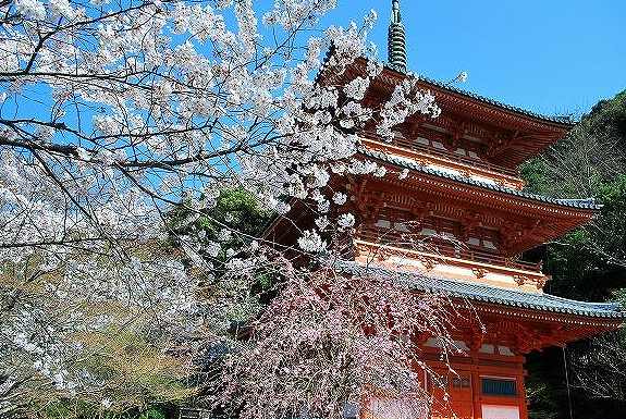 『清水寺公園』の画像です