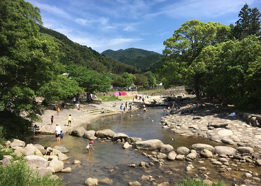 『中ノ島公園』の画像です