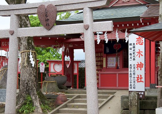 筑後市　恋木神社の画像です