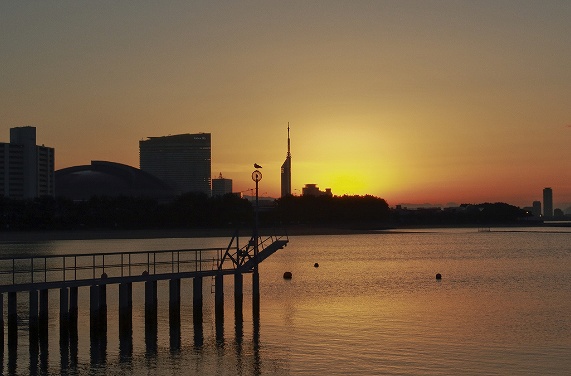 シーサイドももち海浜公園の画像です