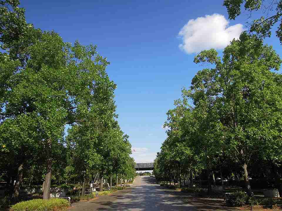 久宝寺緑地の画像です