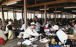 農業公園「信貴山のどか村」の画像です