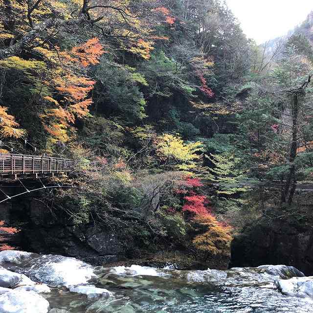 天の川少年旅行村の画像です