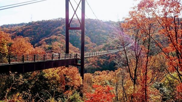 ほしだ園地の画像です