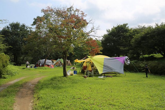 池の山キャンプ場の画像です