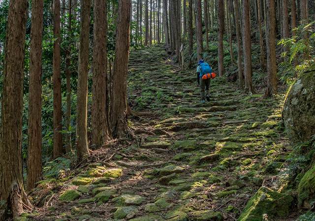 熊野古道の画像です