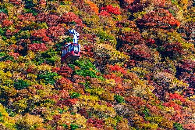 仁田峠の画像です