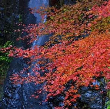 轟峡の画像です