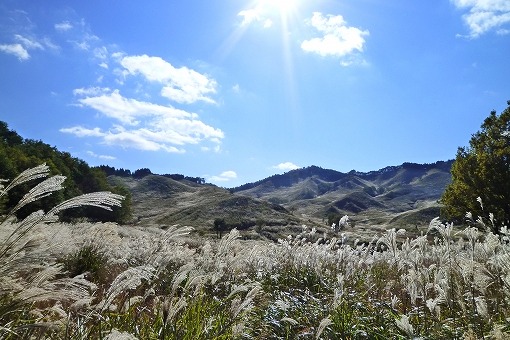 砥峰高原の画像です