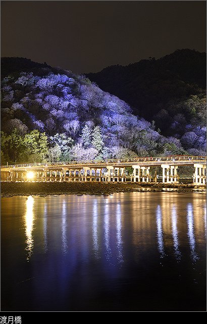 嵐山花灯路の画像です