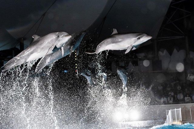 須磨海浜水族園の画像です