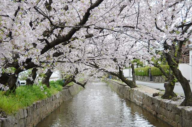 玉串川の画像です