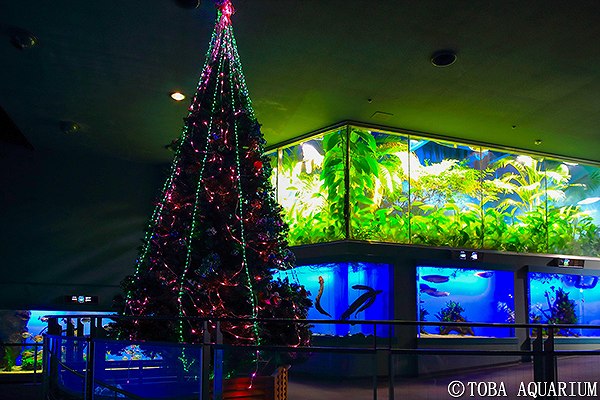 鳥羽水族館の画像です